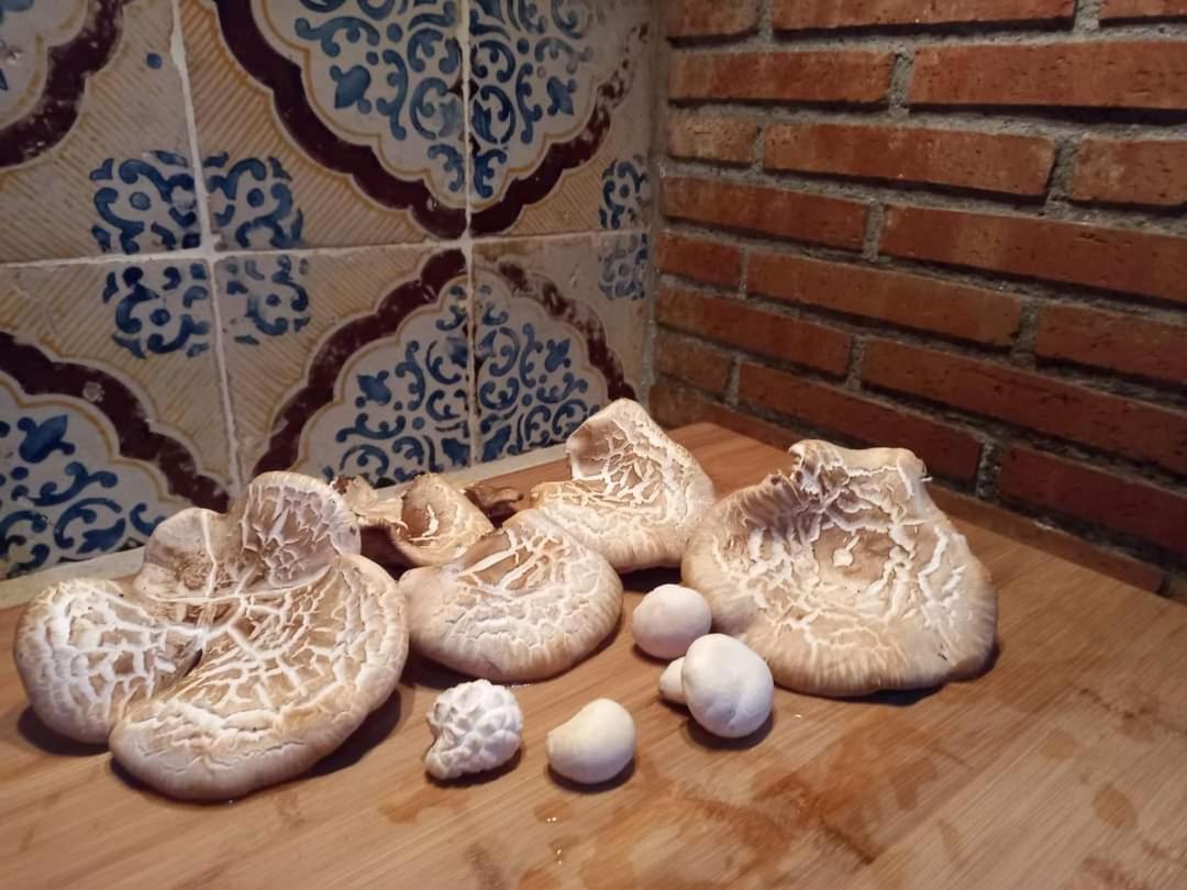 Casa Della Nonna Villa Caltavuturo Eksteriør bilde